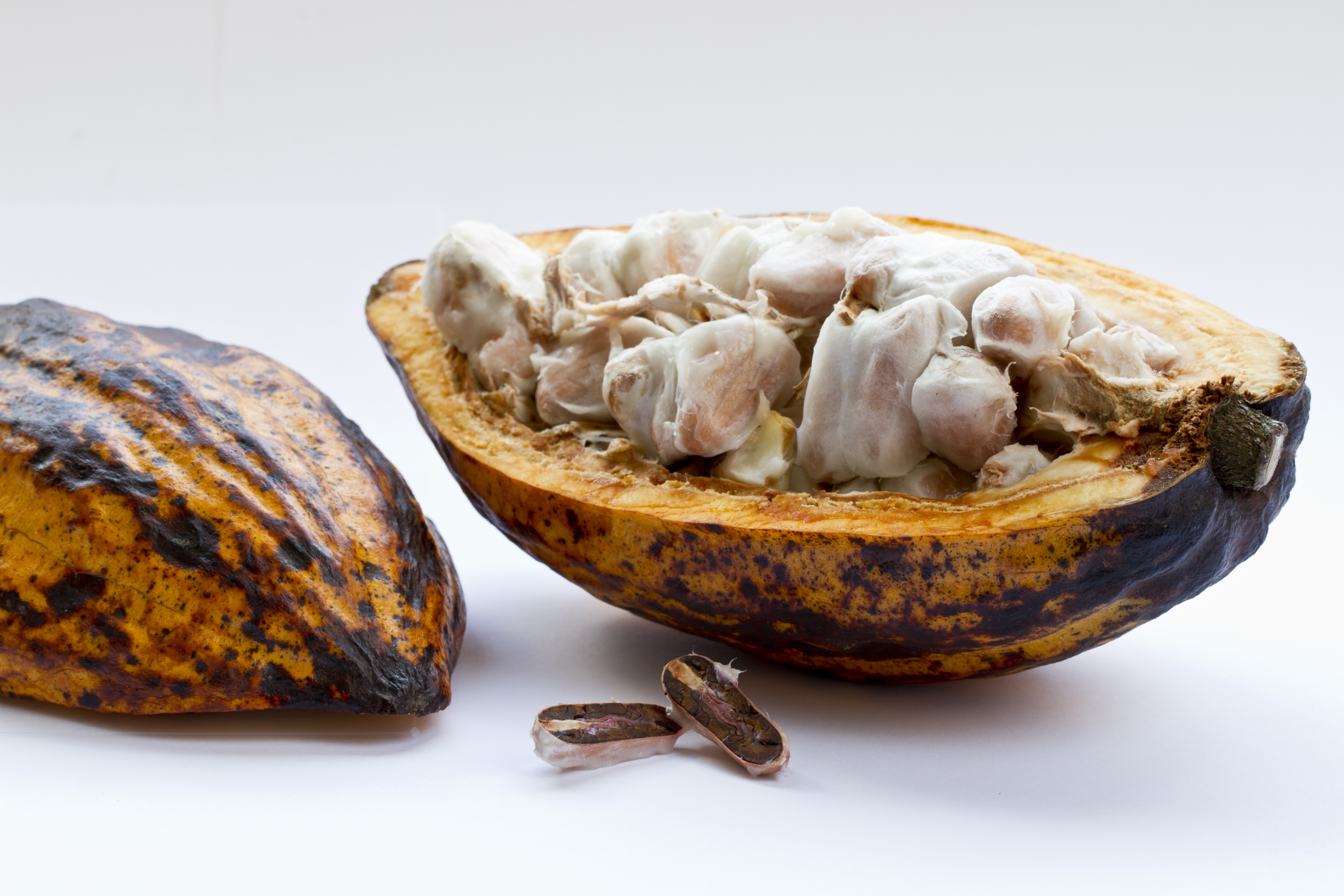 Baobab